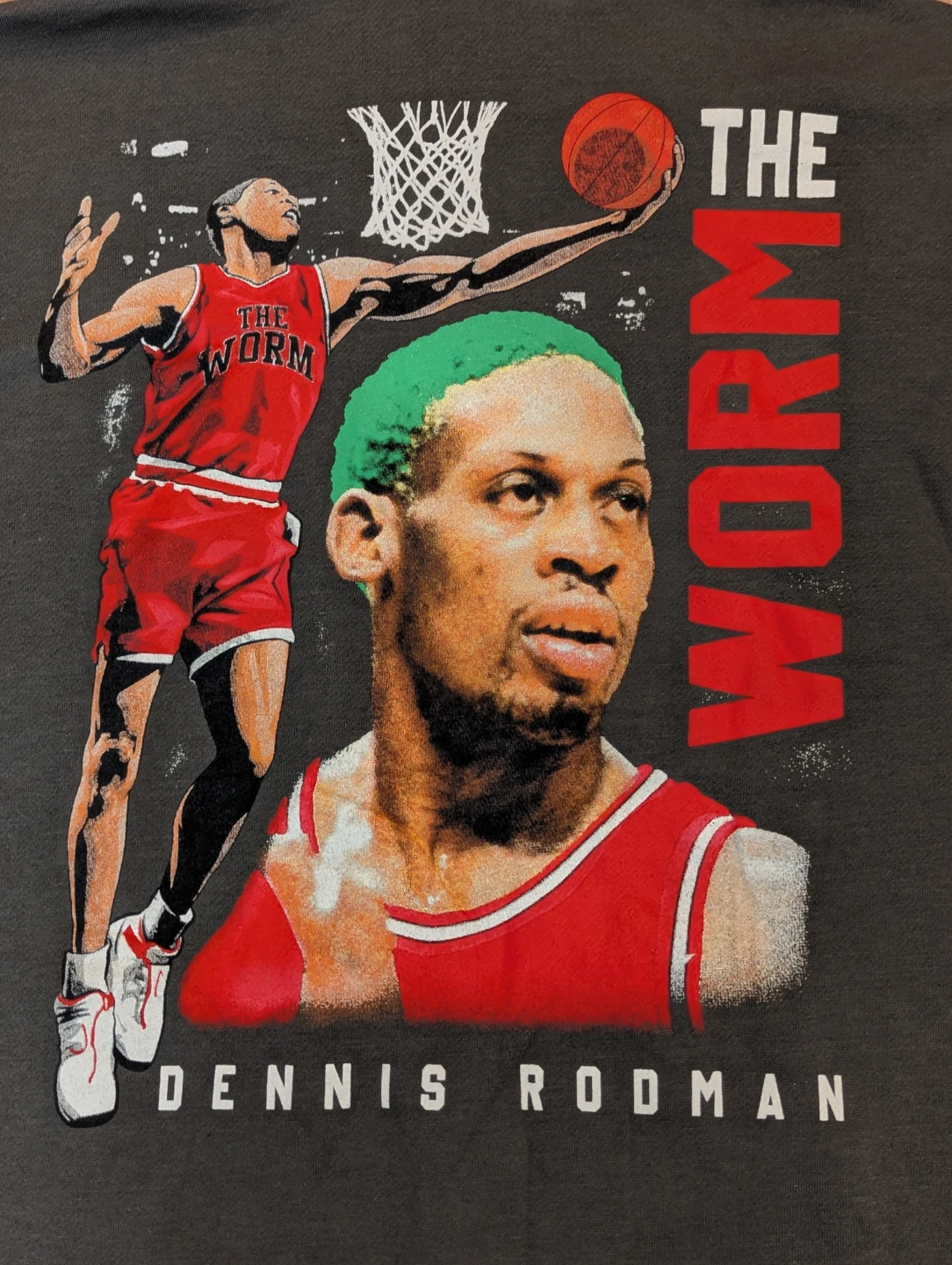 RARE: NEW LARGE Dennis Rodman THE WORM Hoodie by Rodman & Co - photo 3