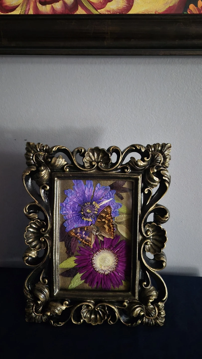 Lesser Purple Emperor in Vintage MCM frame