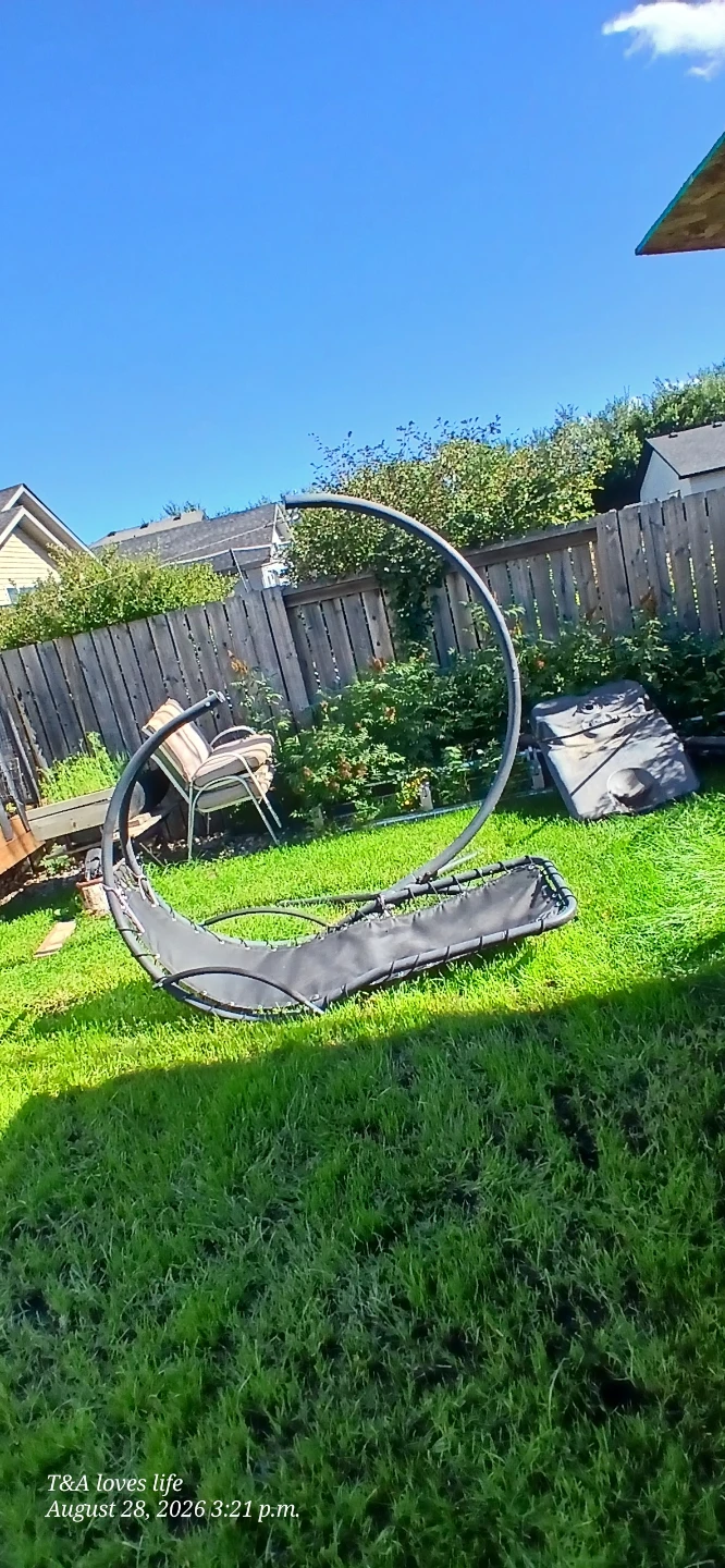 Black Metal Circle Swing Frame with Hammock Seat