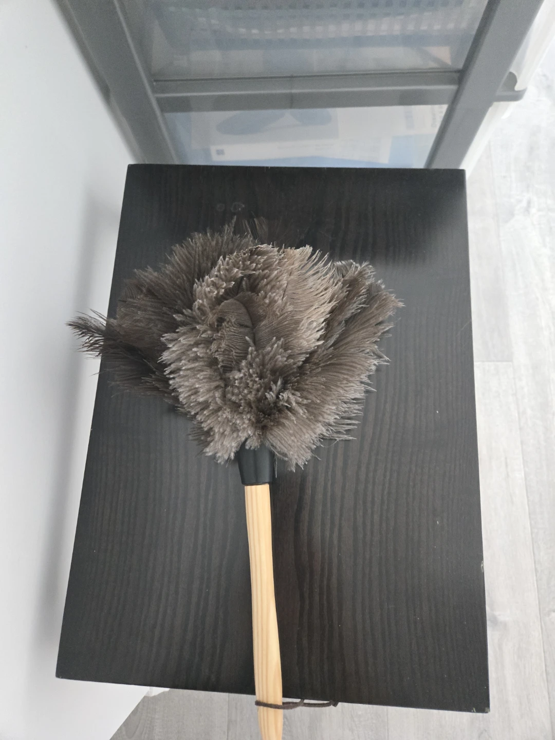 Ostrich Feather Duster