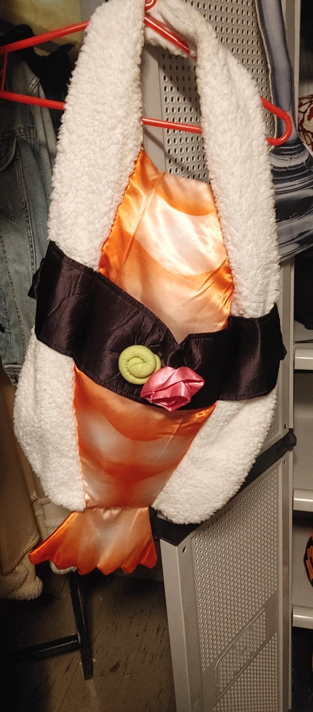 Sushi pet costume