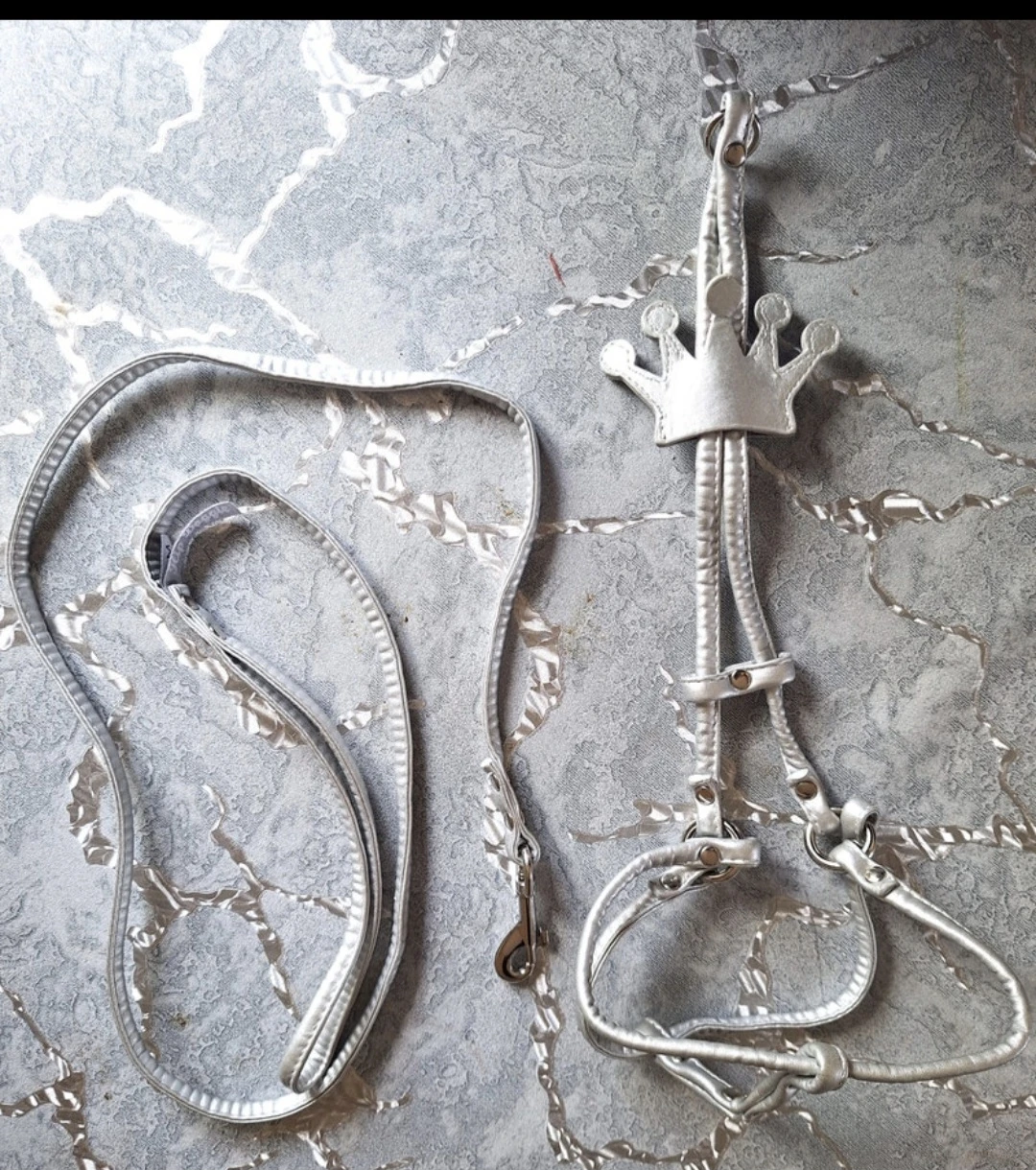 Silver Harness with matching Leash for Small Dog