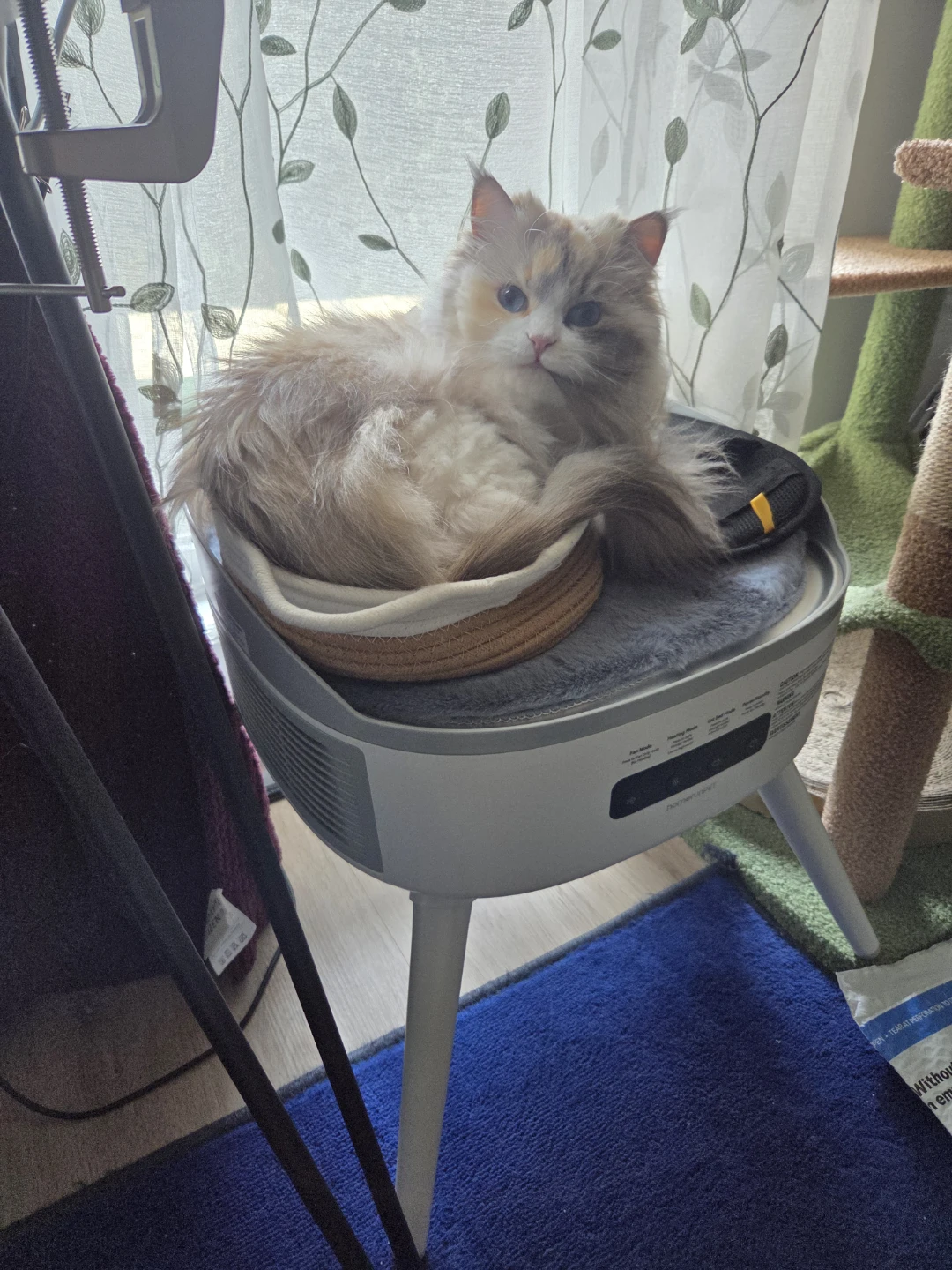 HomeRunPet Pet-Safe Space Heater with Heated Cat Bed