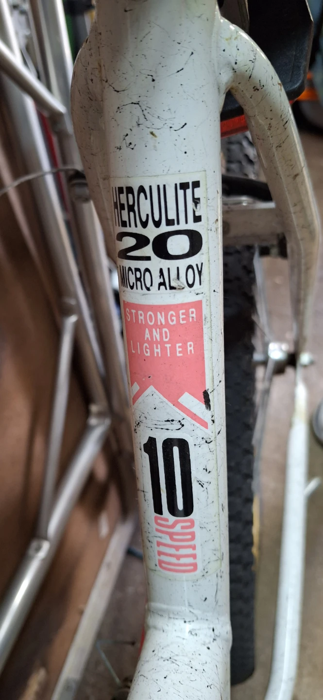 Murray 10 speed bicycle