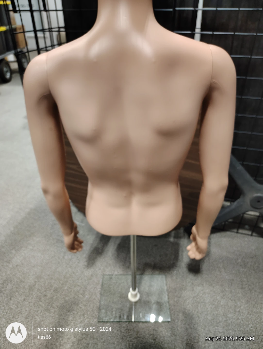 Male Mannequin Torso - photo 2