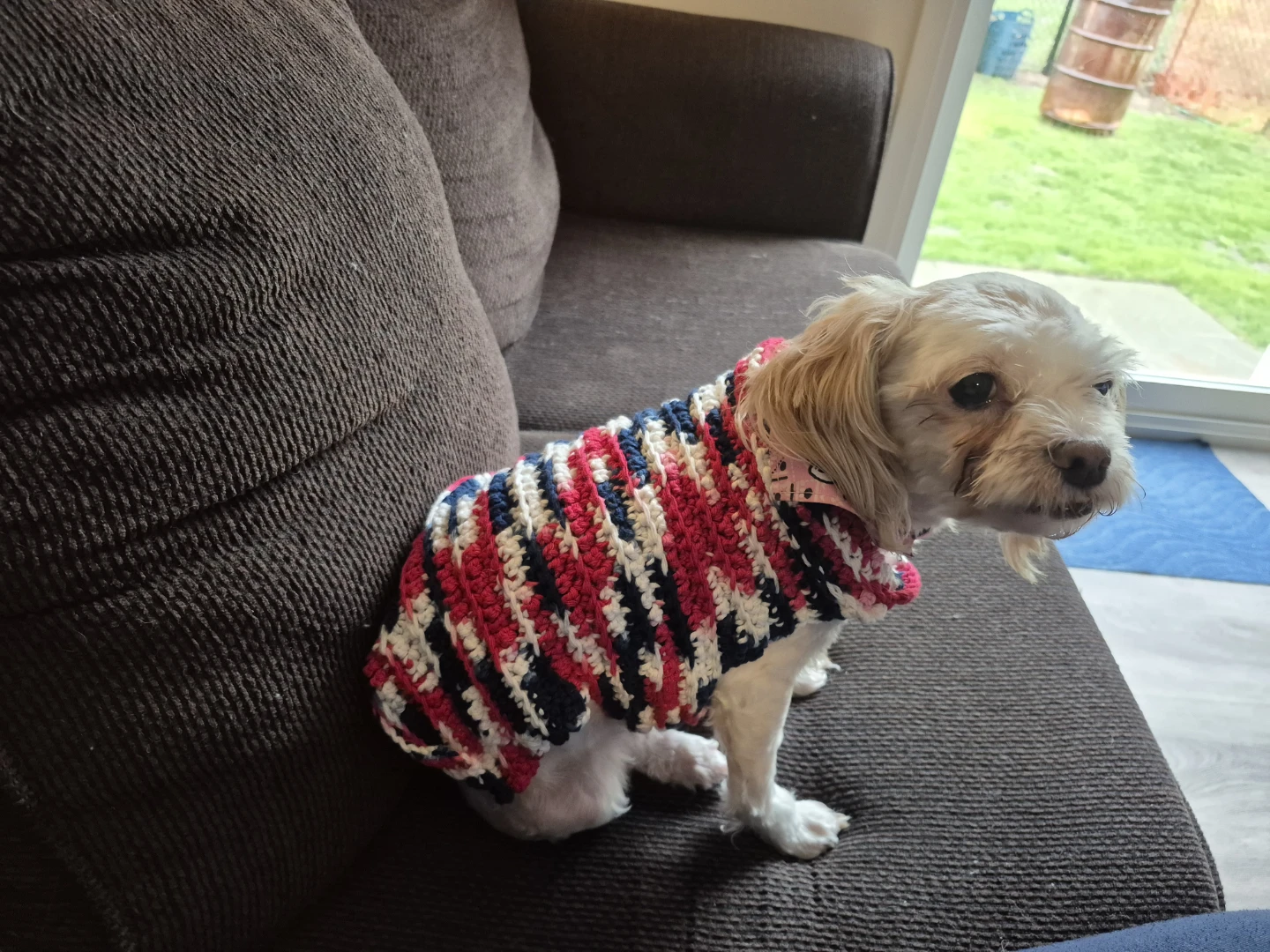 Handmade Crochet Dog Sweater - photo 2