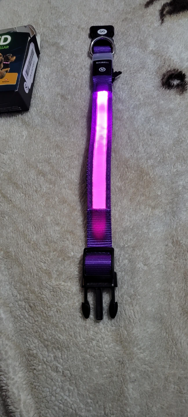 MASBRILL LED Dog Collar - Purple - photo 3