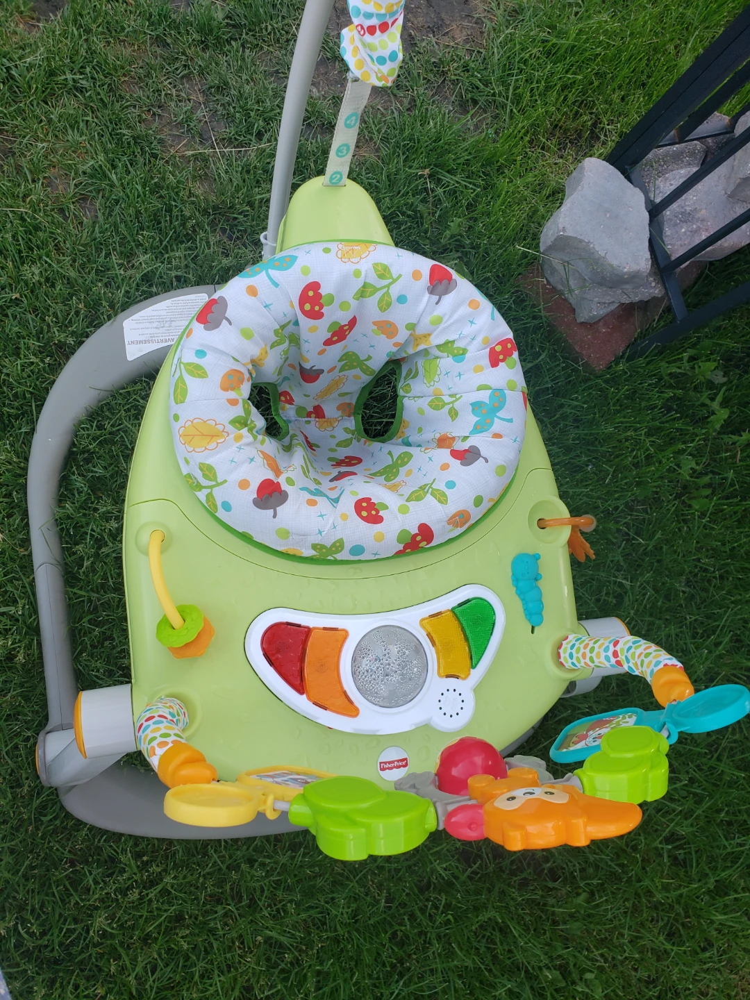 Fisher-Price Jumperoo Baby Activity Center - photo 2