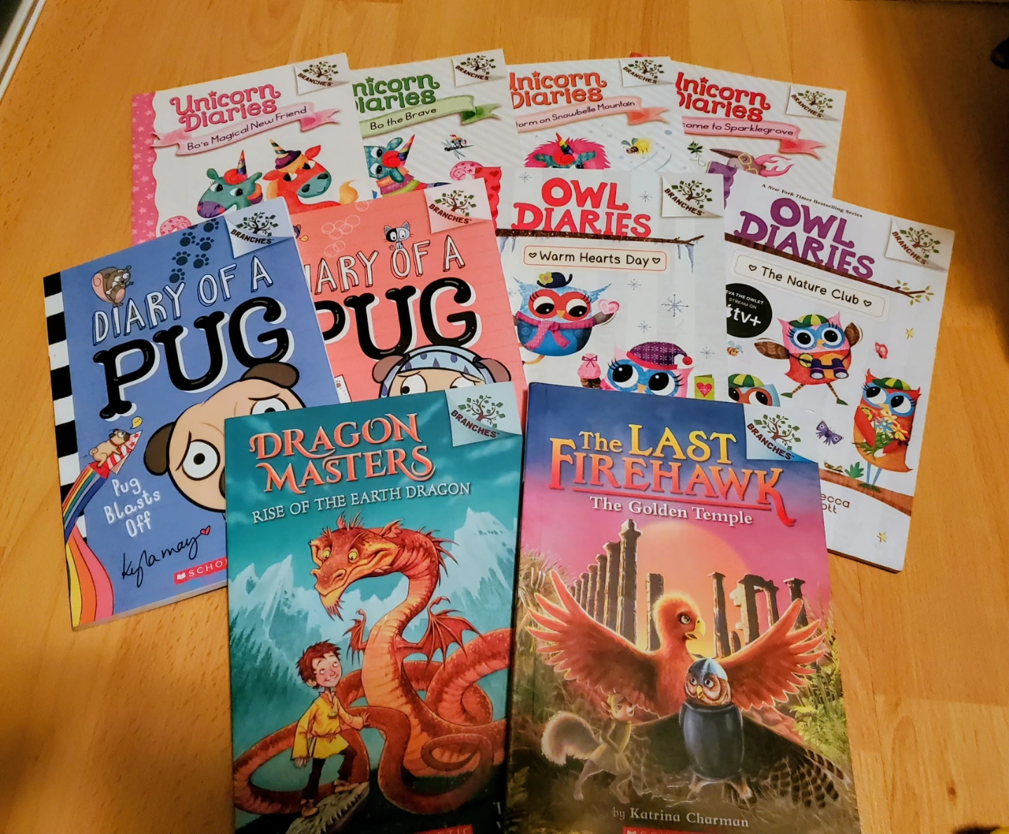 ($3 each, or $20 for all 10 books) 10 Illustrated Chapter Books
