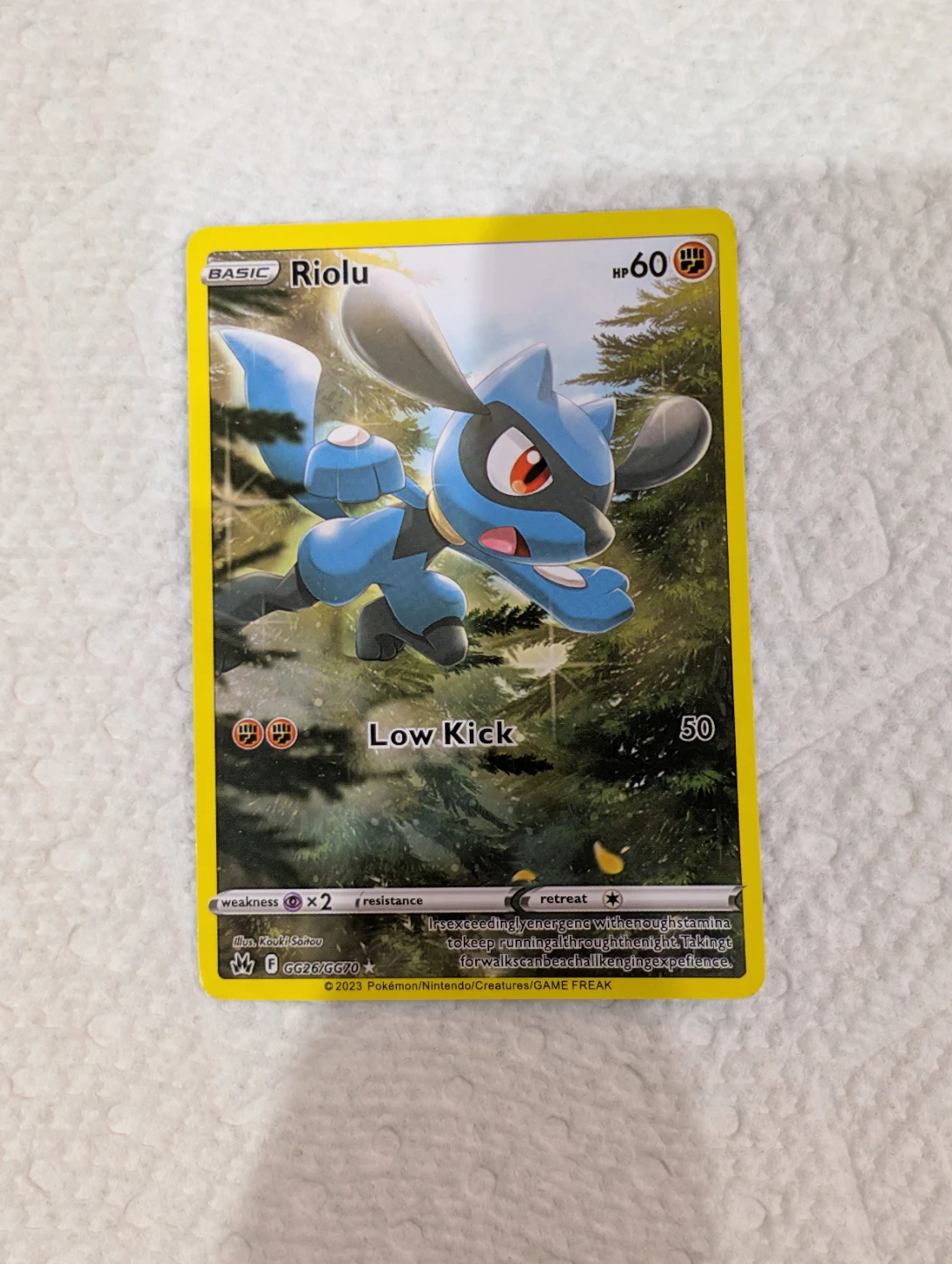 Riolu - SWSH - Crown Zenith : Galarian Gallery ( CRZ : GG ) - photo 3
