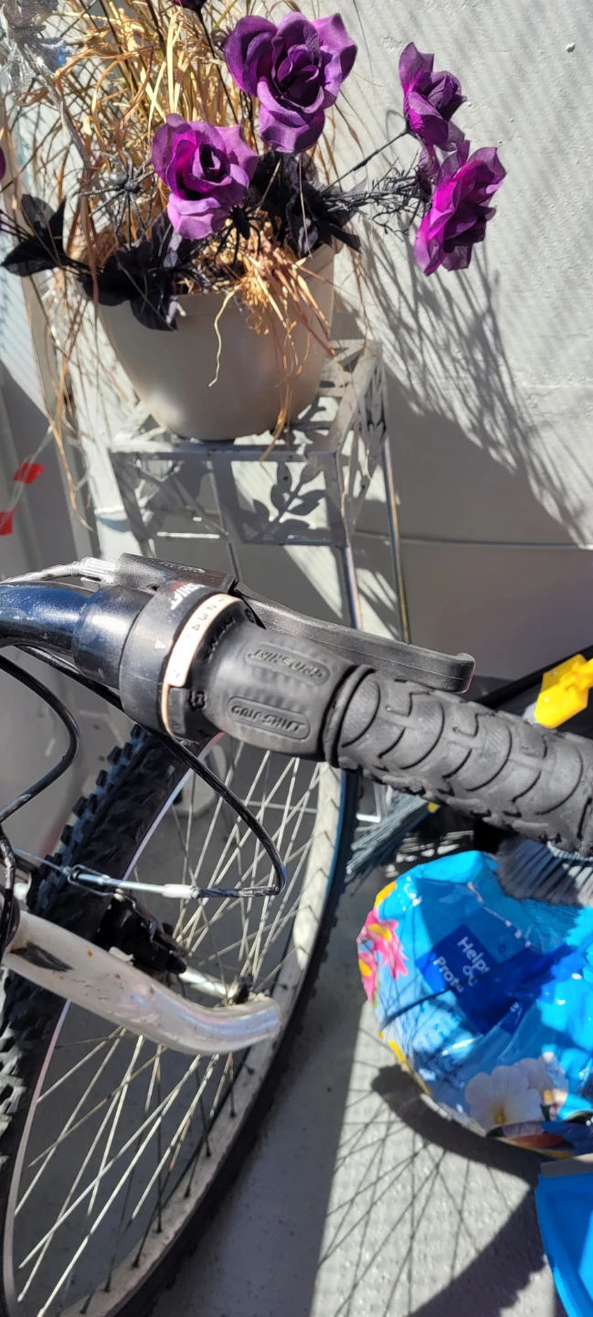 White Mountain Bike with Rear Rack - photo 5