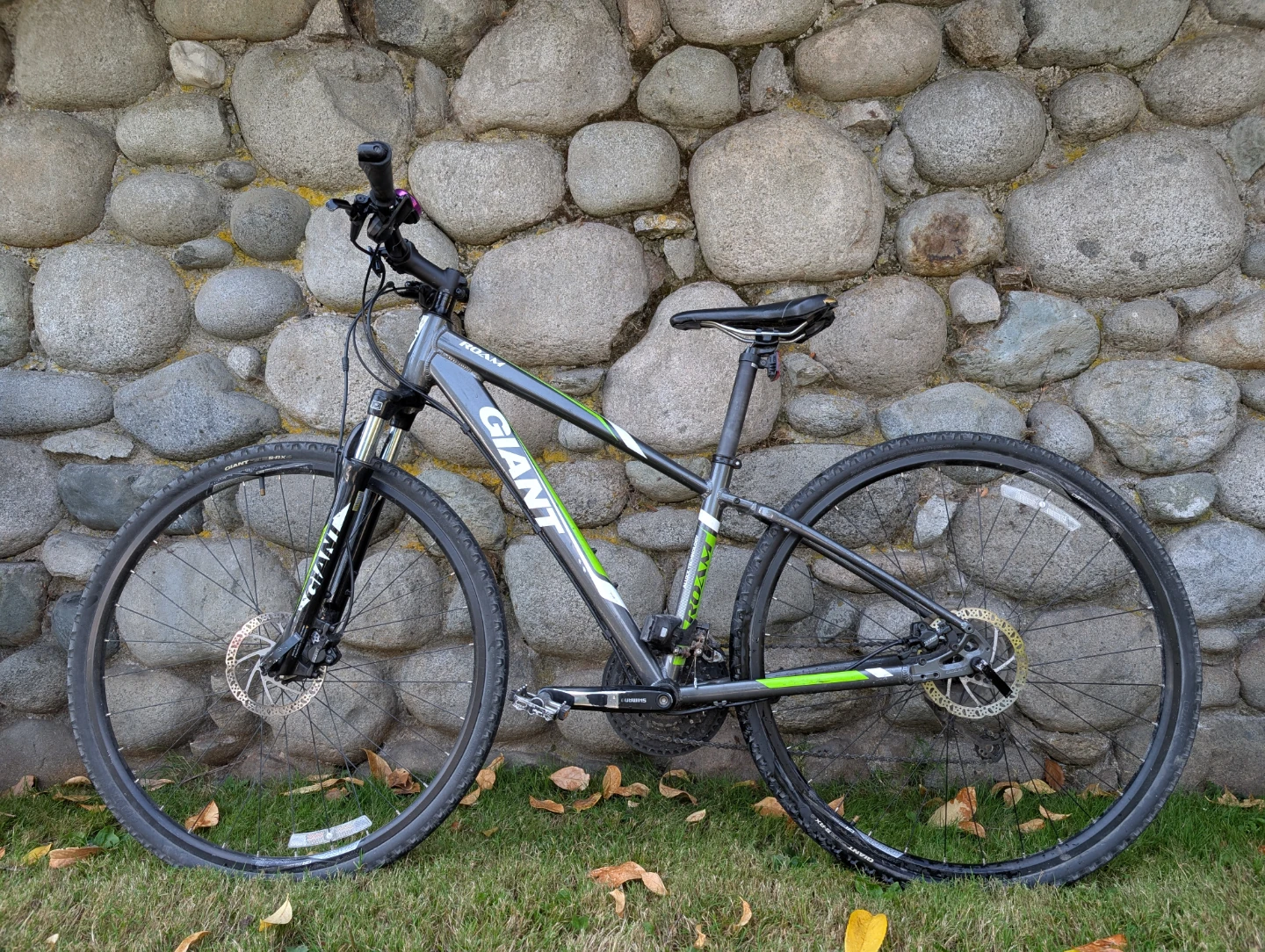Giant Roam Hybrid Bike