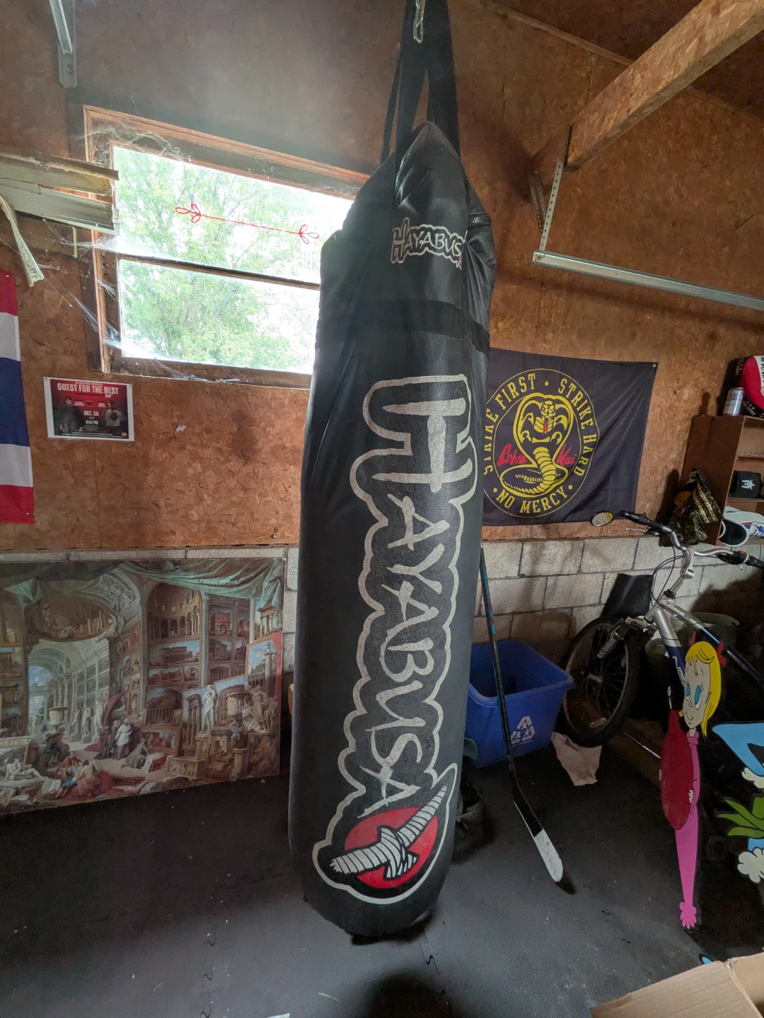 Hayabusa Heavy Bag