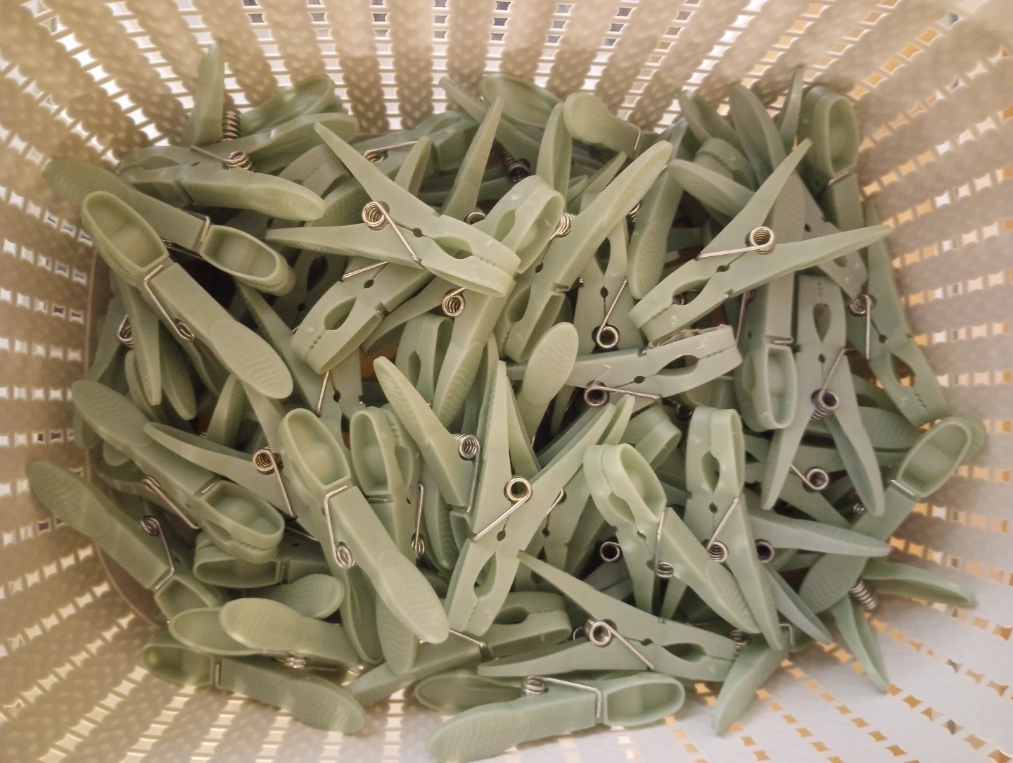 100 Plastic Clothes Pegs
