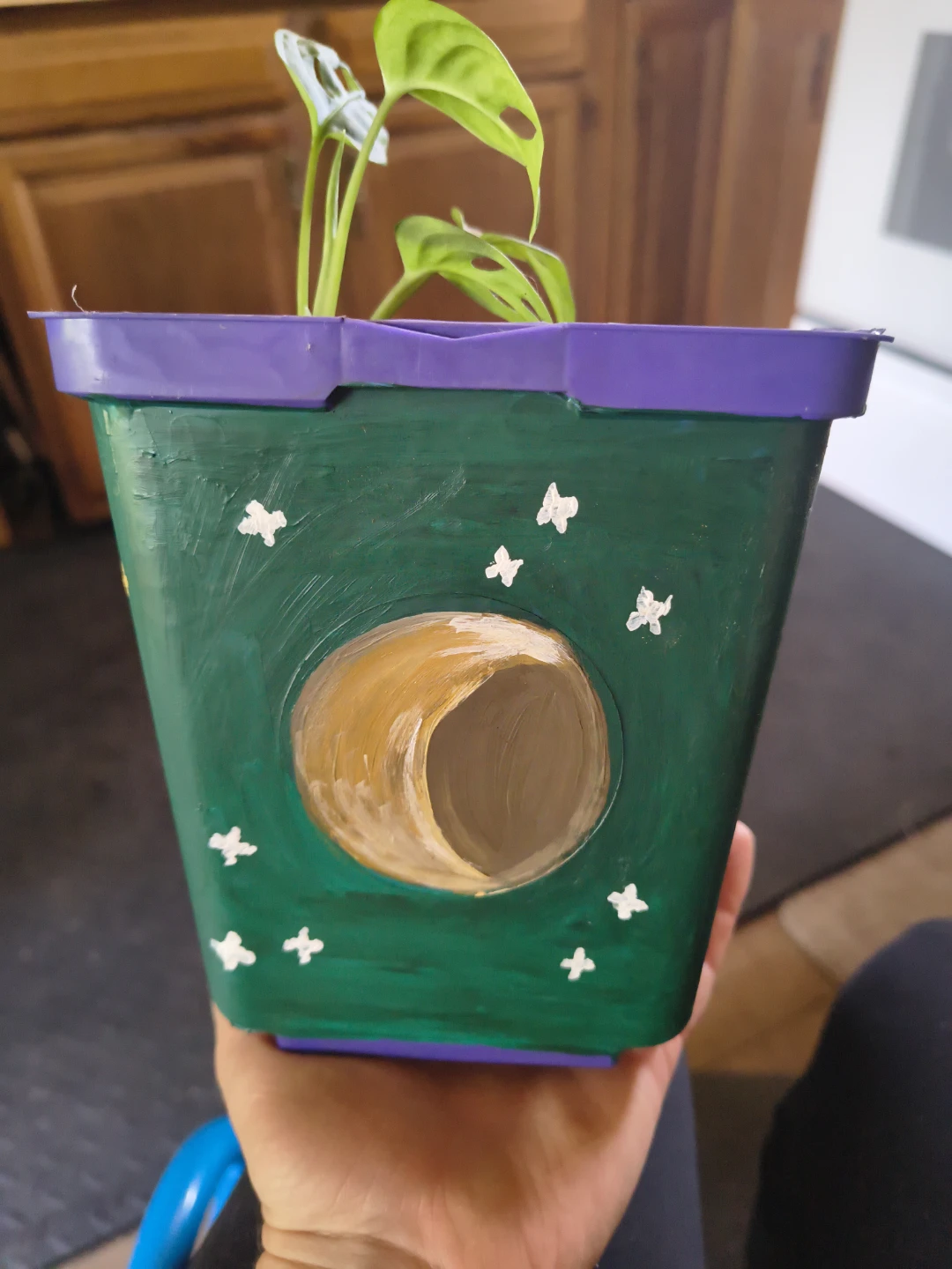 Small Monstera Plant in Hand-Painted Moon Cycles Pot - photo 3