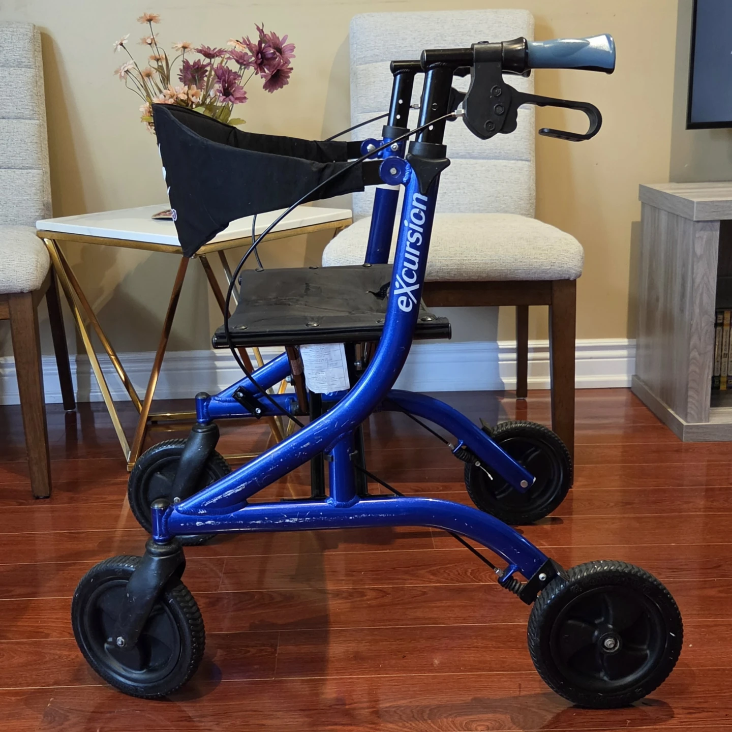 Blue Excursion Walker with Seat