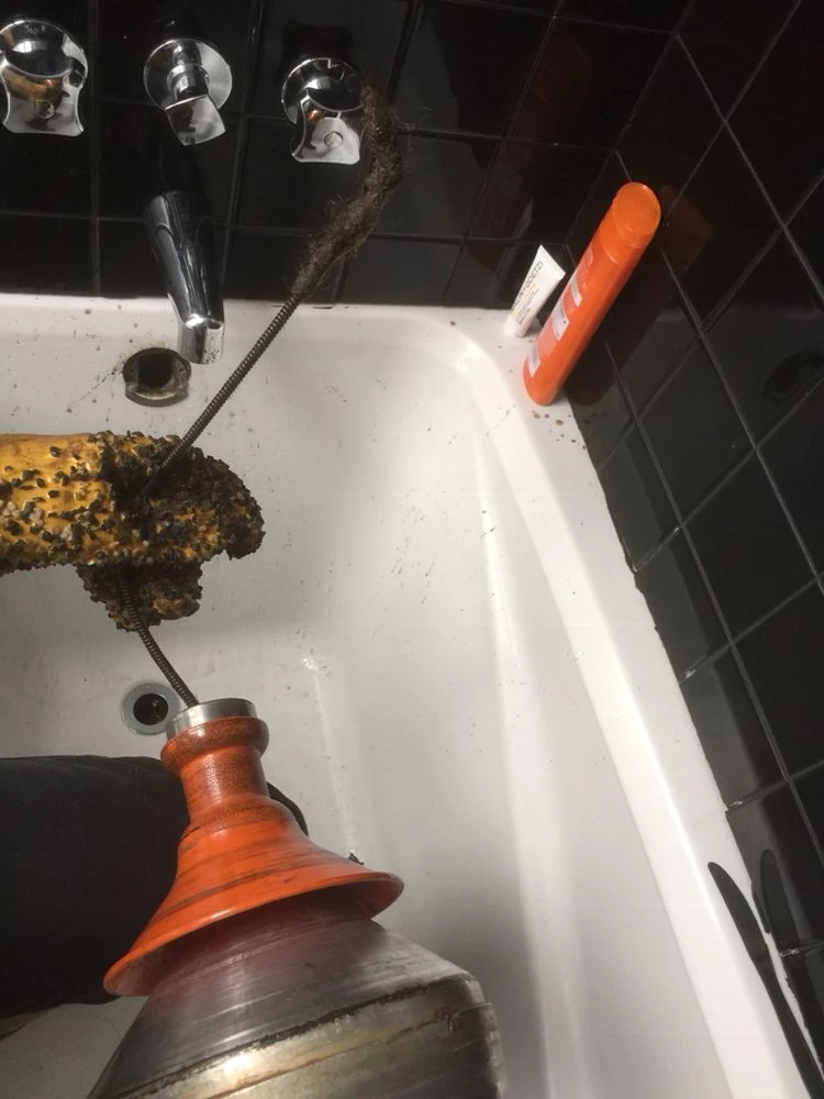 Get rid of your slow drains rn, 50 each!