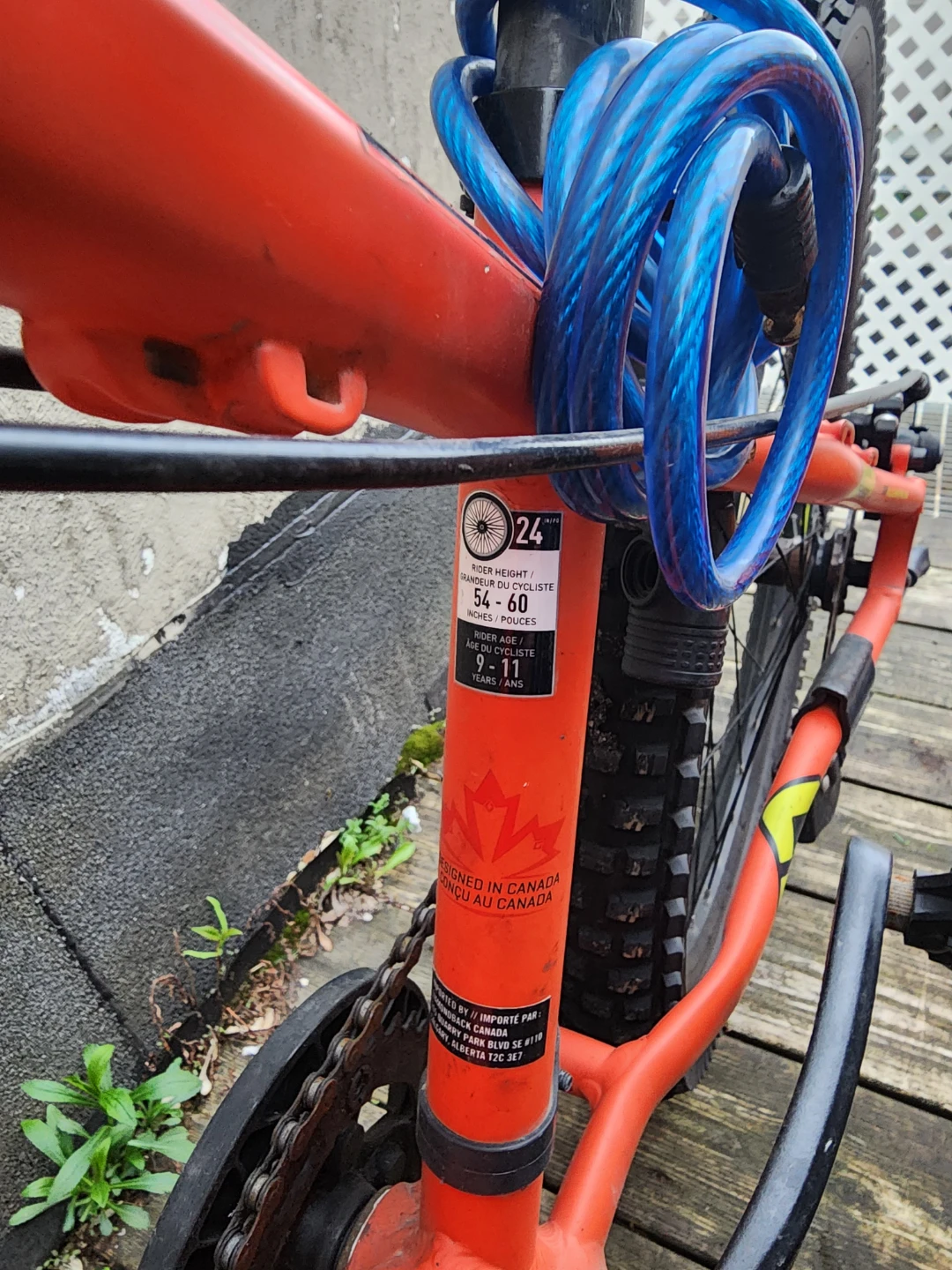 Diamondback Mountain Bike