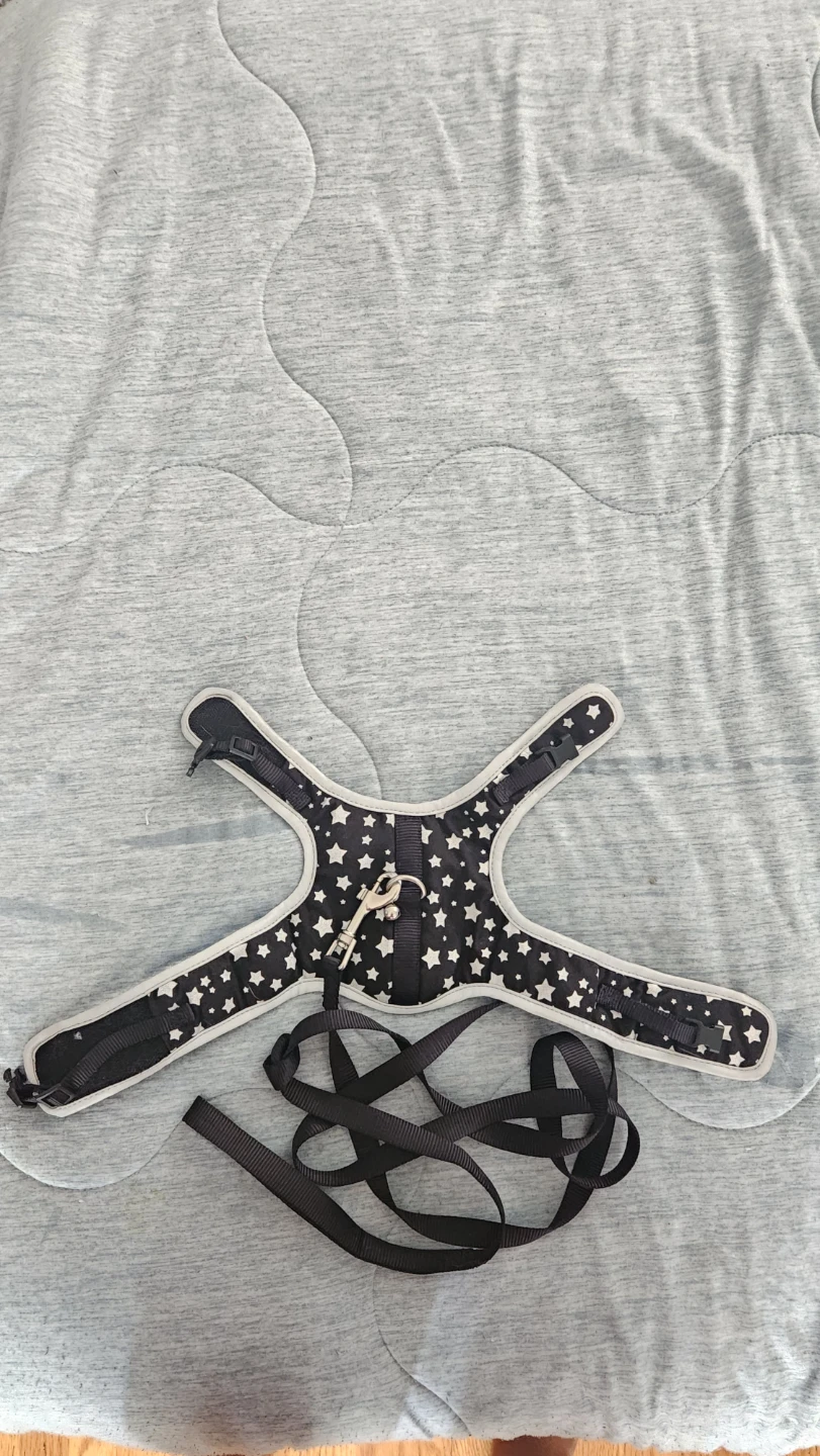 Cat Harness & Leash – Small