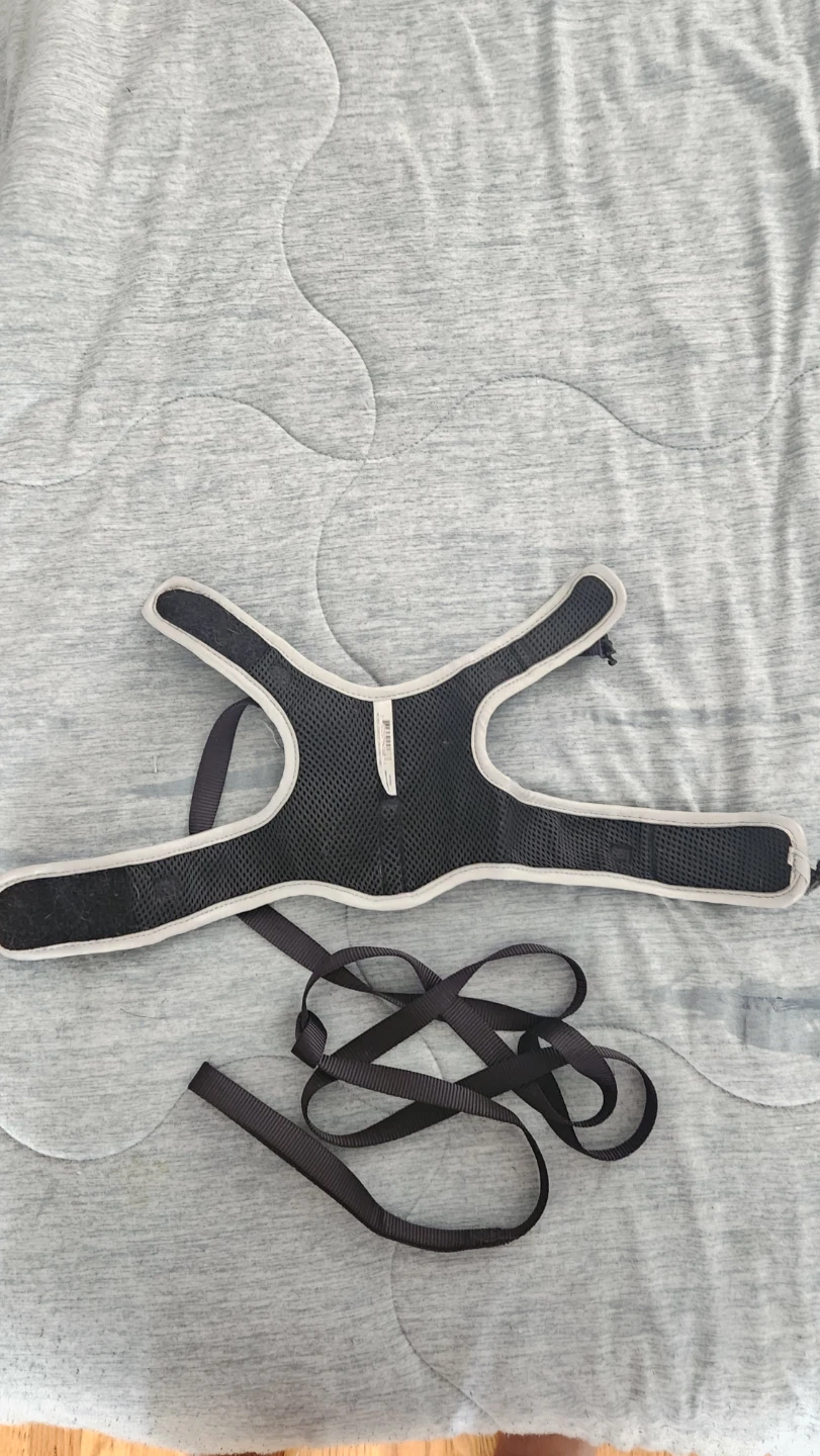 Cat Harness & Leash – Small - photo 2