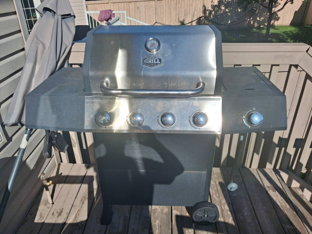 Expert Grill Propane Gas Grill