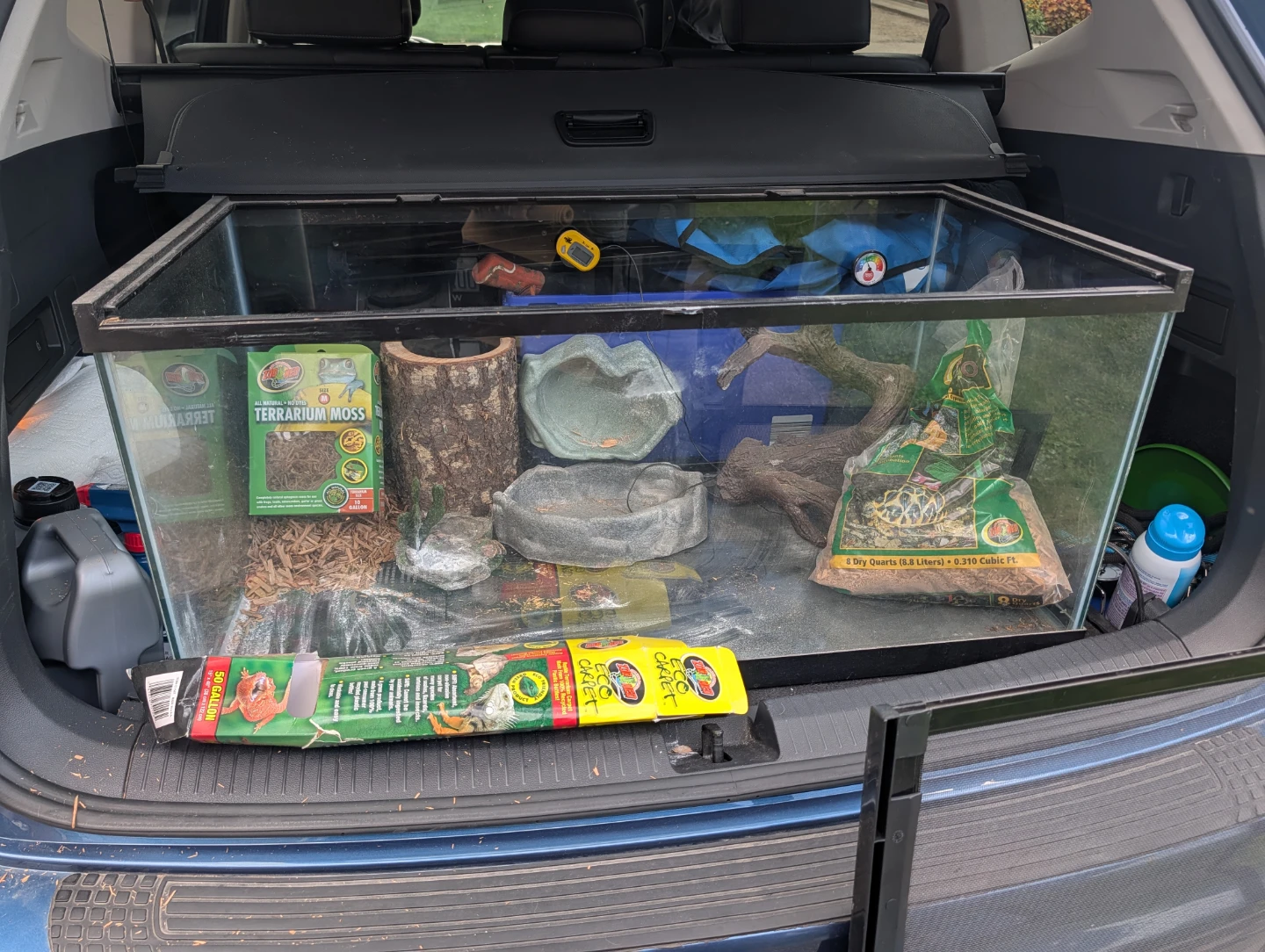Large Terrarium/Aquarium
