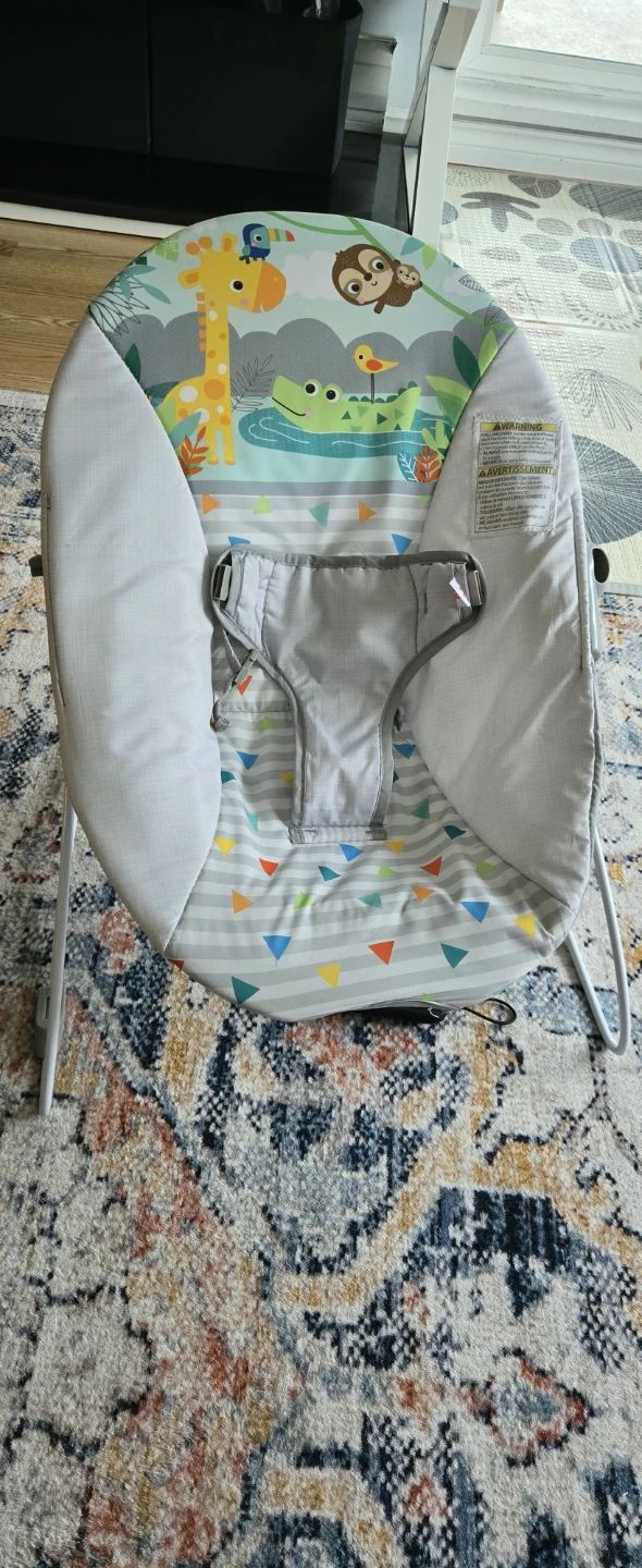 Baby Bouncer Seat