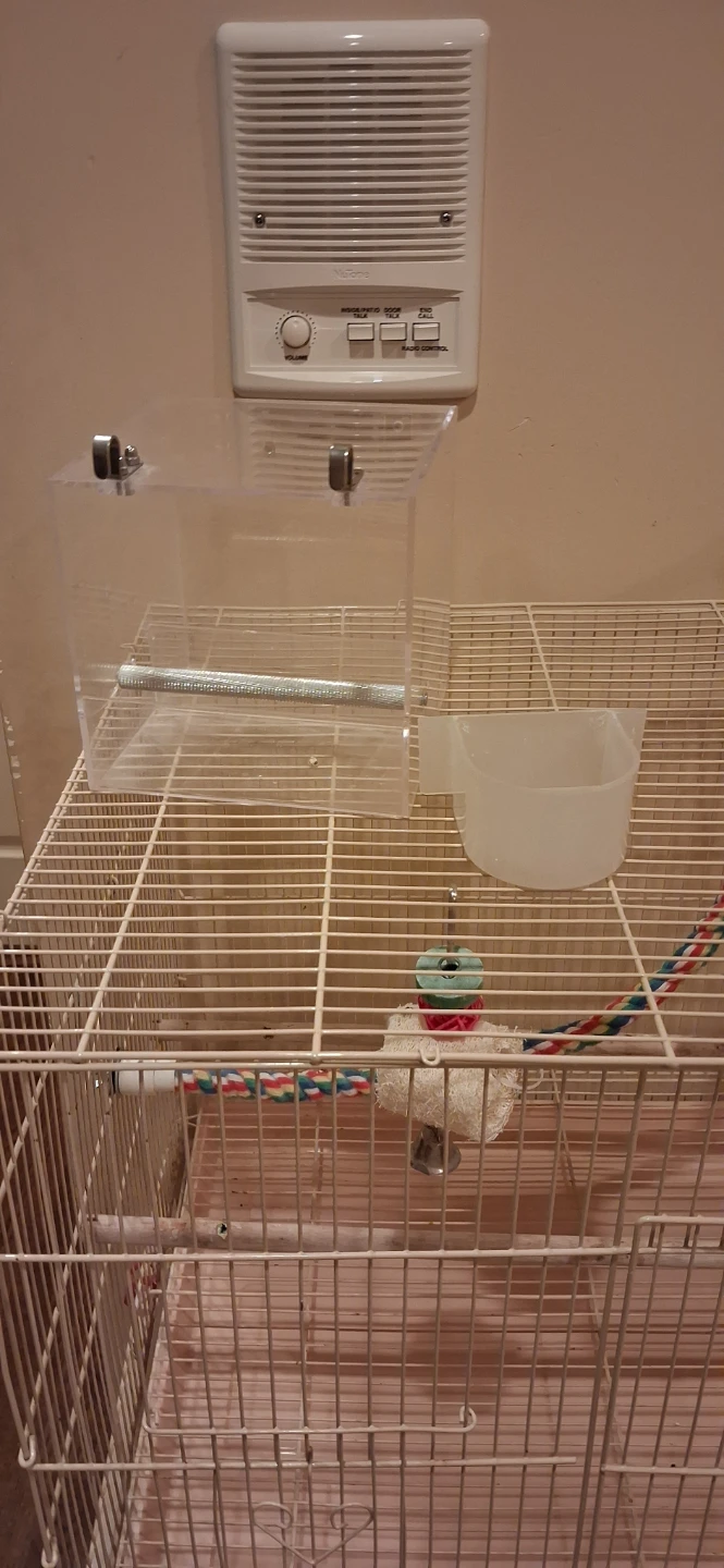 Bird cage + bird play ground - photo 3