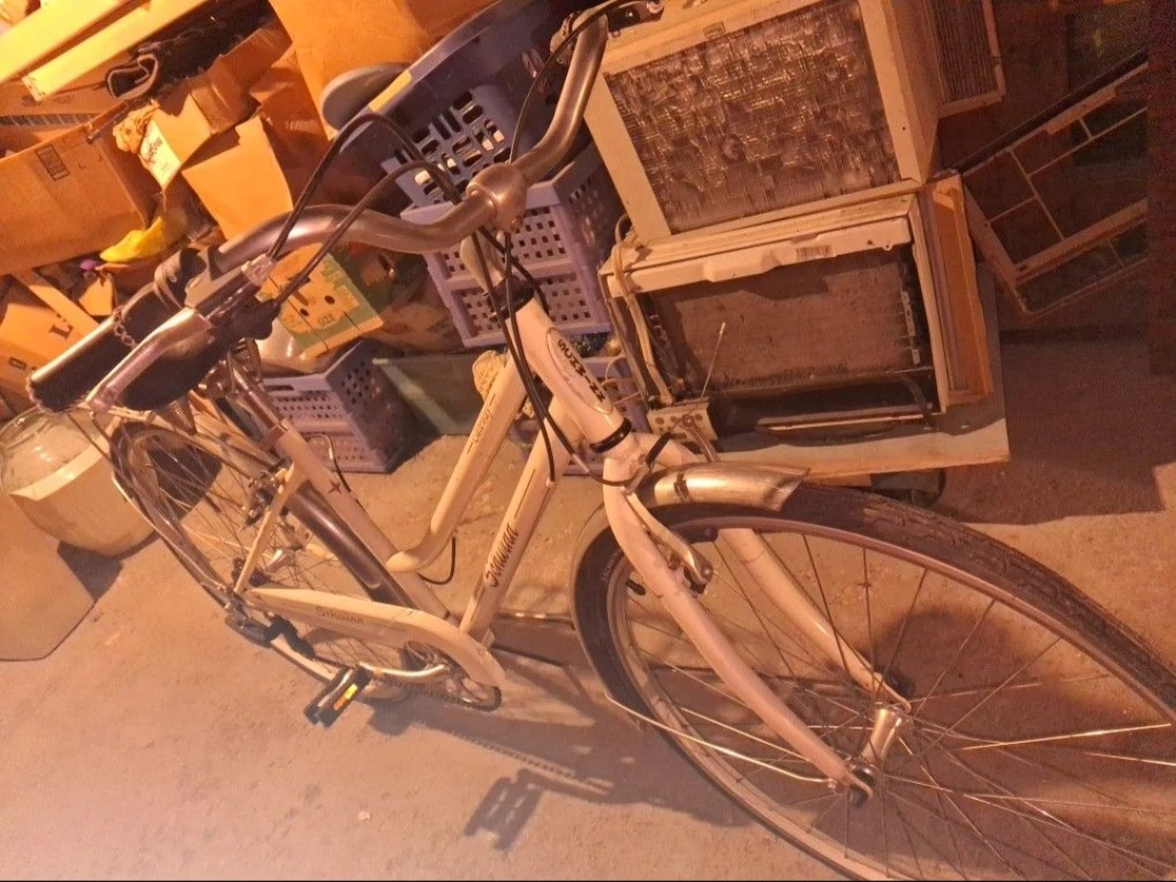 Bicycle Schwinn Gateway Cruiser - photo 2