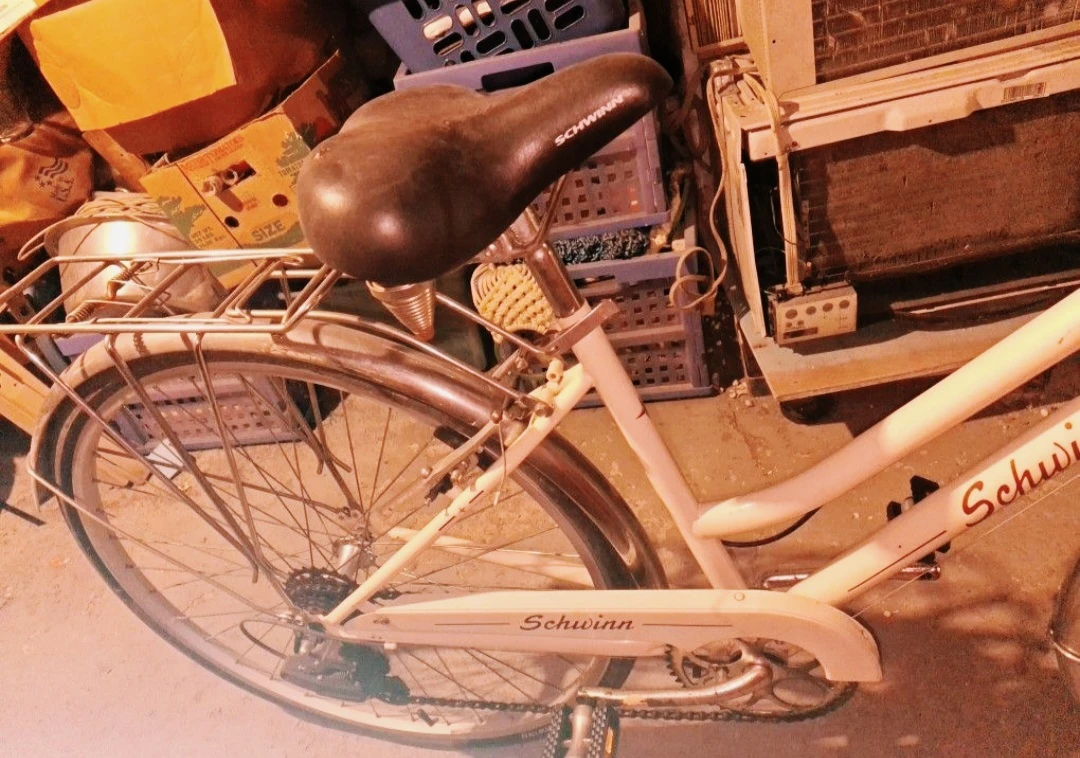 Bicycle Schwinn Gateway Cruiser - photo 3