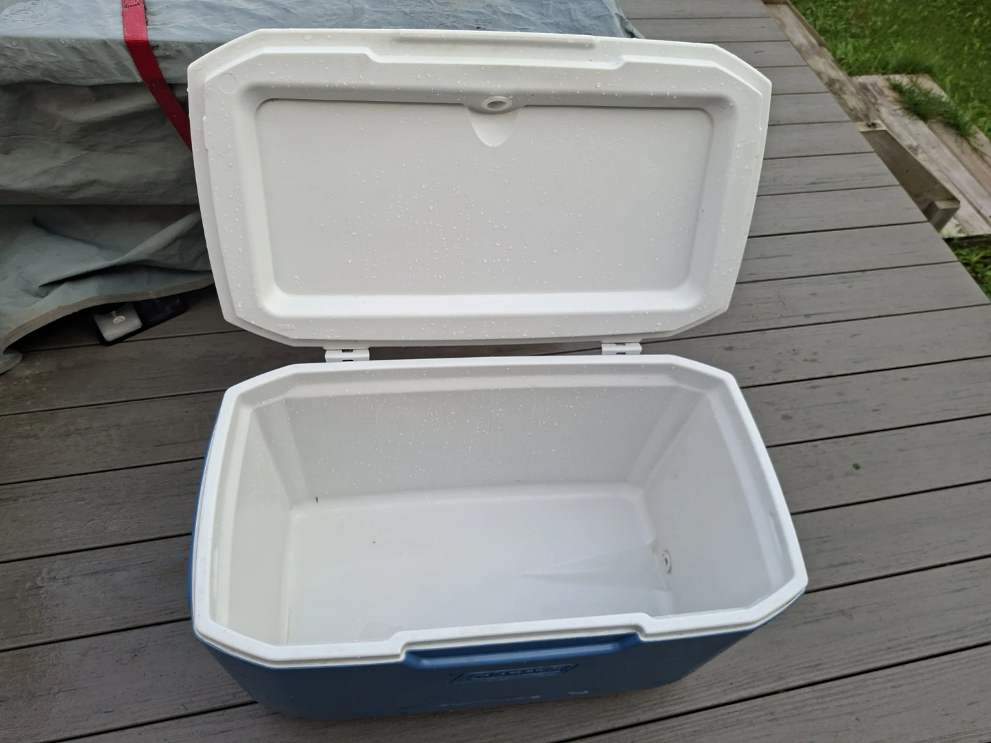 Blue Coleman Cooler with Four Cup Holders