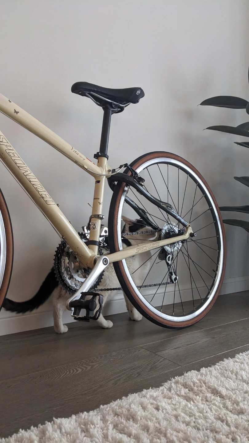 Specialized Vita Bike S size