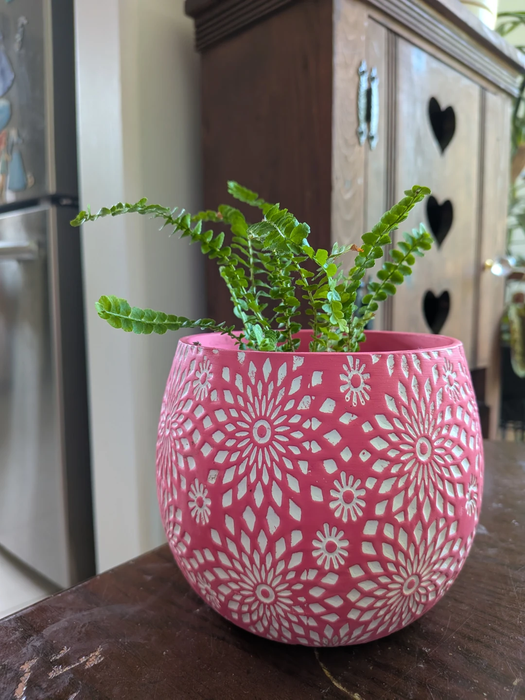 Lemon Button Fern - photo 2