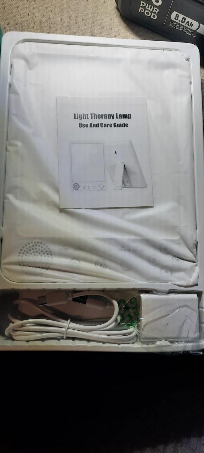 New LED Light Therapy Lamp - photo 2