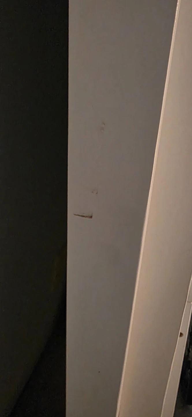 White Crib - photo 3