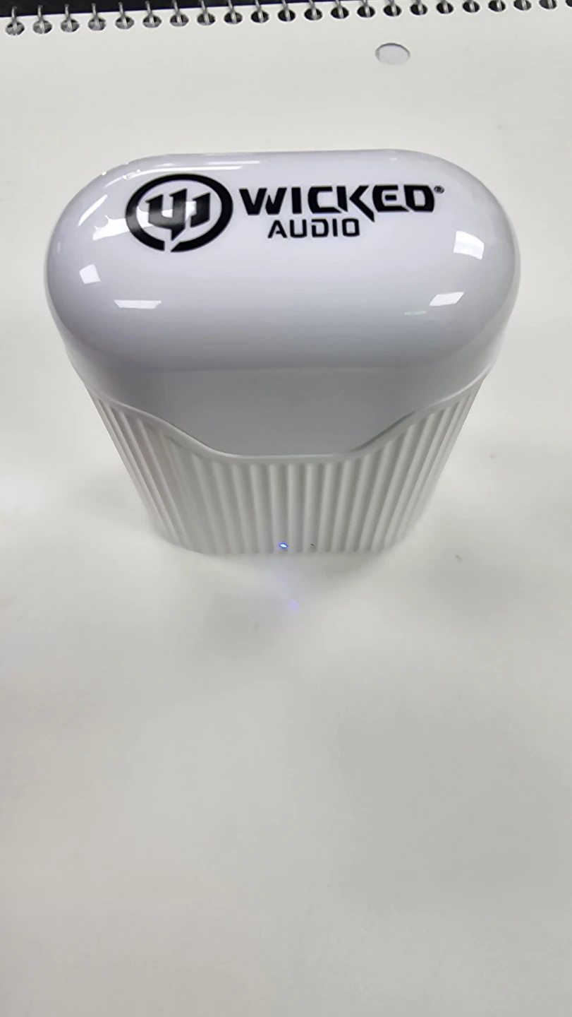 Wicked Audio Wireless Earbuds with Charging Case