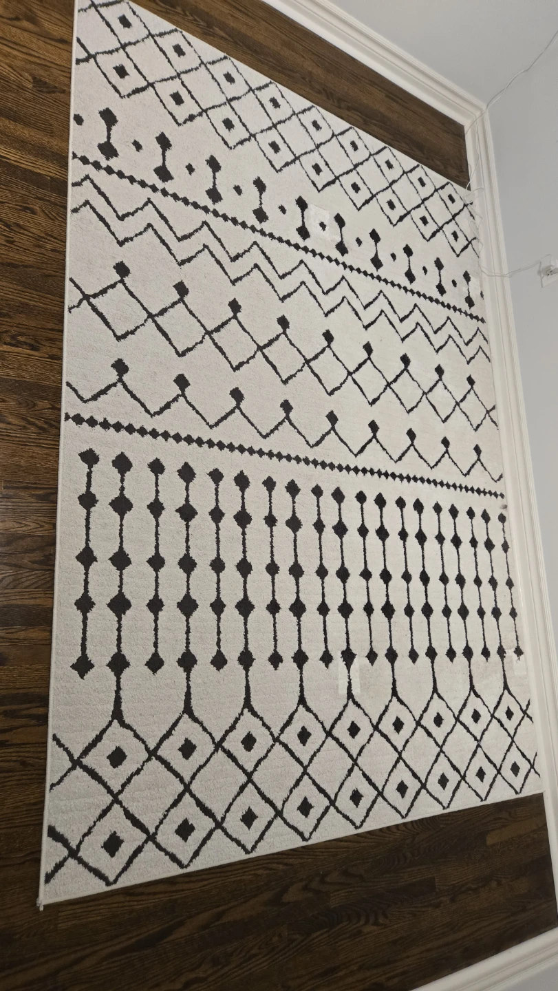 White and Black Geometric Area Rug