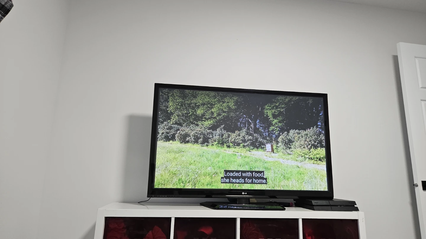 50" Plasma LG TV - photo 2