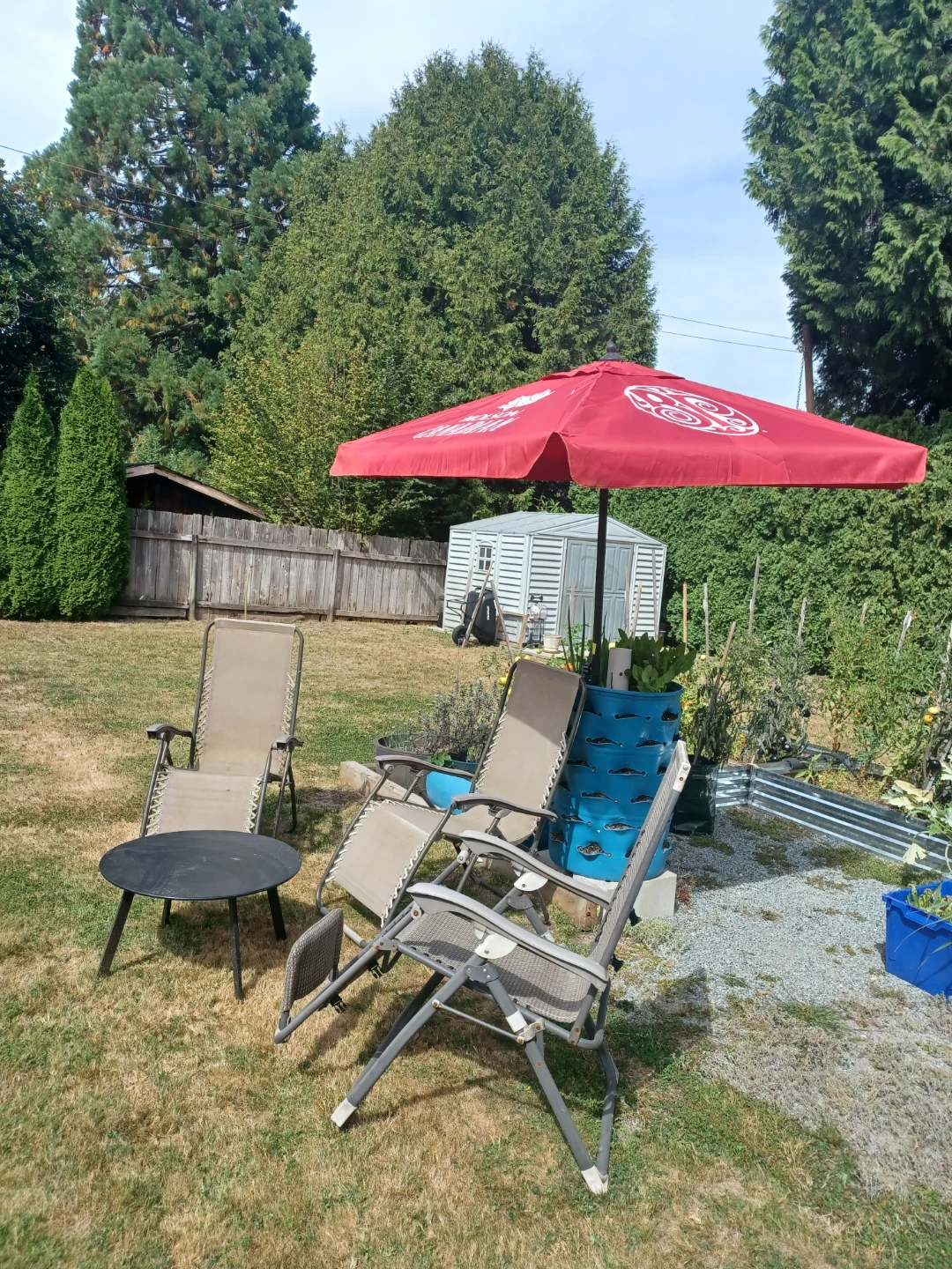 Molson Canadian Patio Umbrella