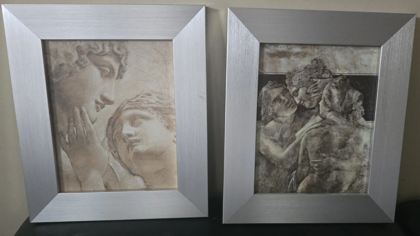 Set of 2 Framed Art Prints