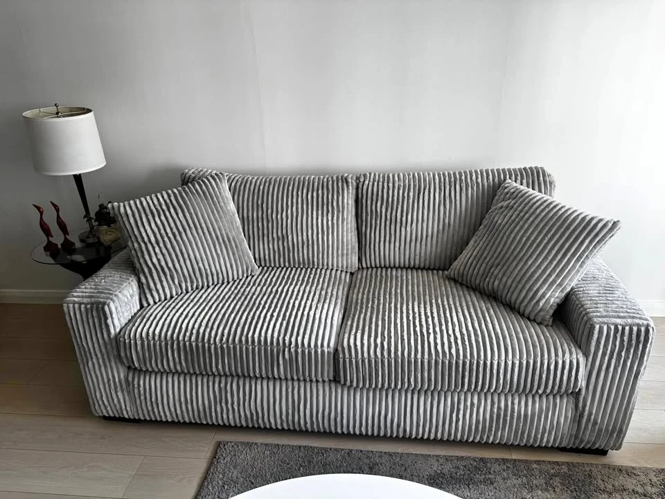 6 months old 2 full sized couches - photo 4