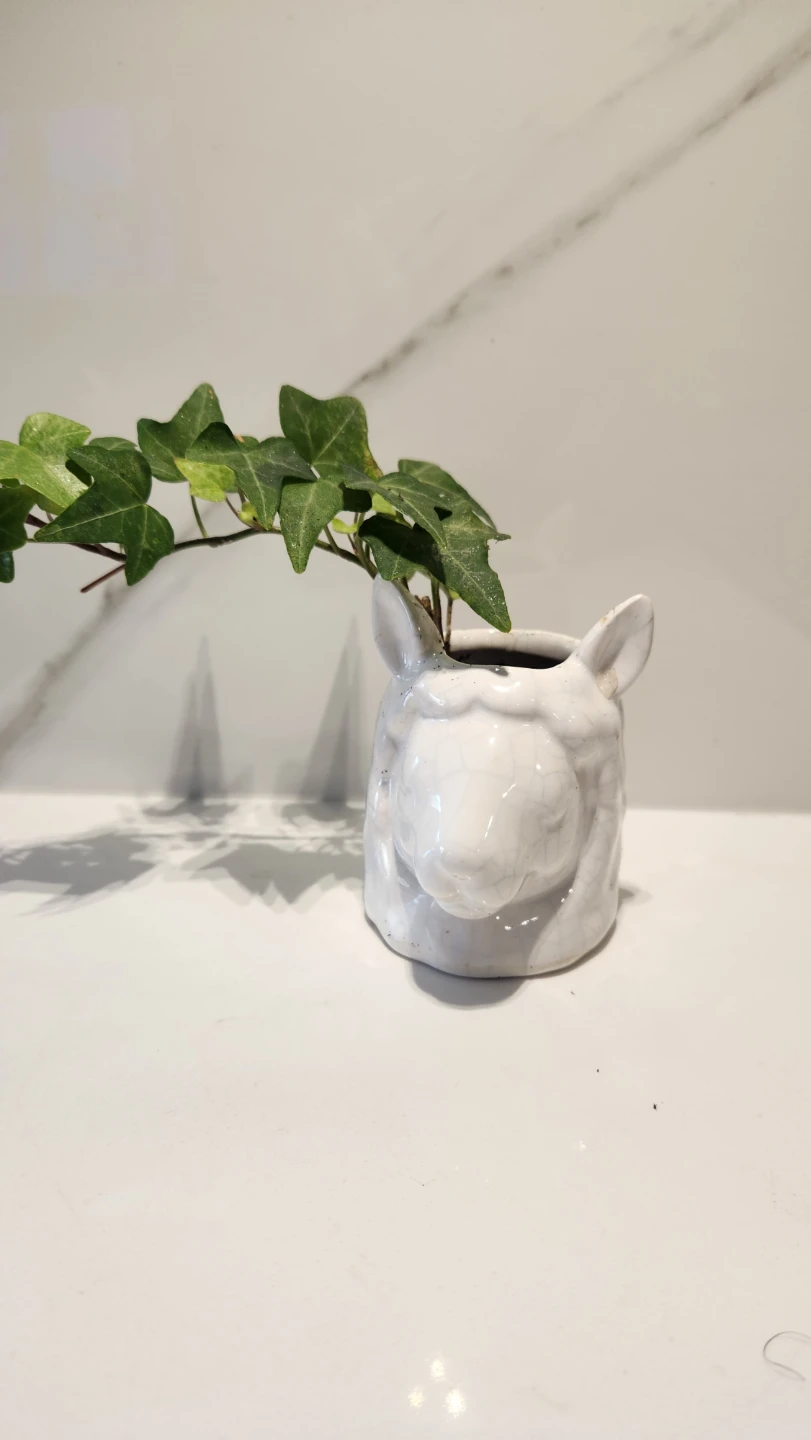 Llama planter with plant