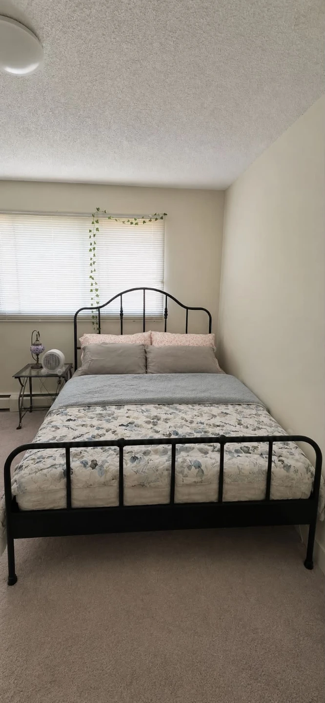 Ikea Queen bed with Mattress and night stand
