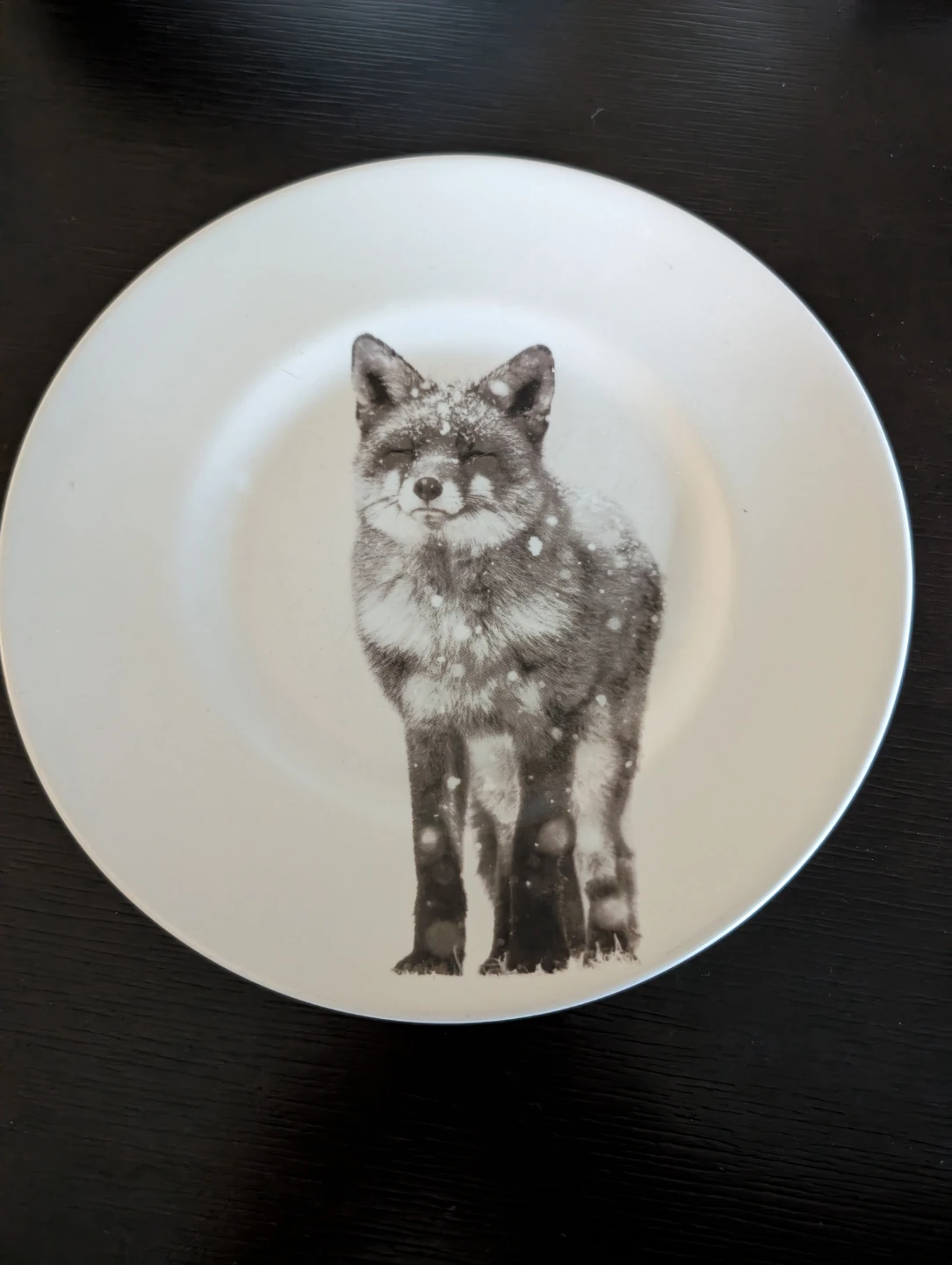 Pier 1 Porcelain Plate - Winter Fox & Birch Forest Design - photo 2