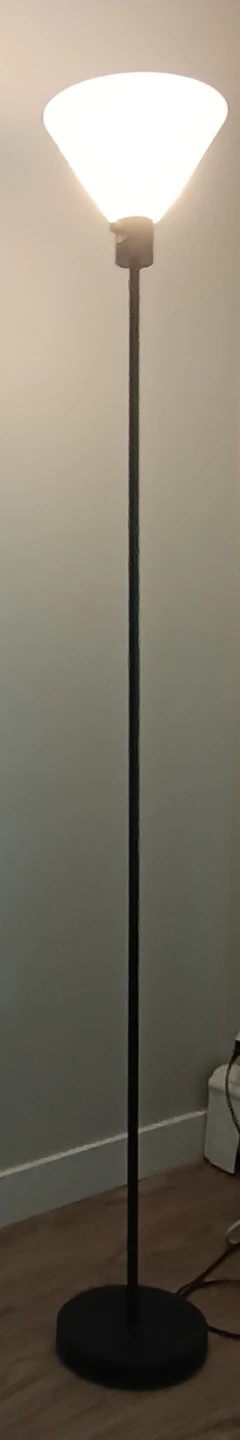 Black Floor Lamp