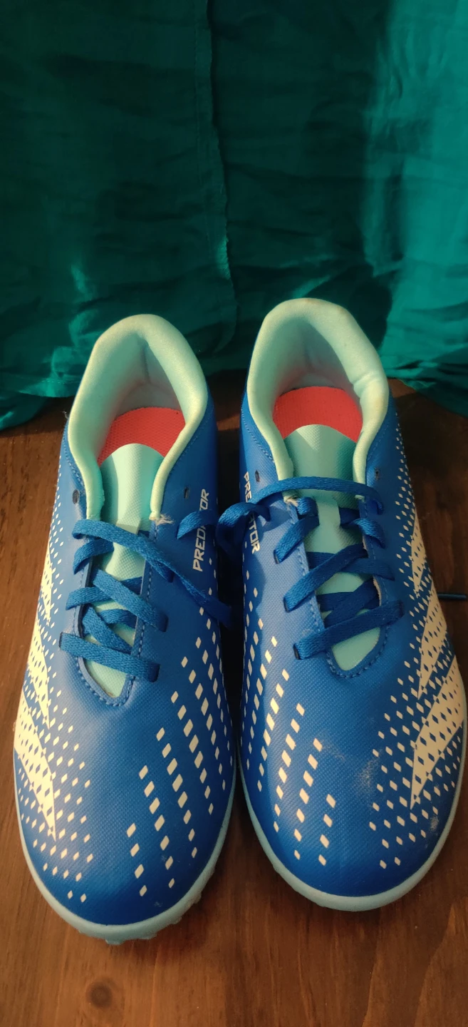 Adidas Predator Soccer Cleats Size 5.5