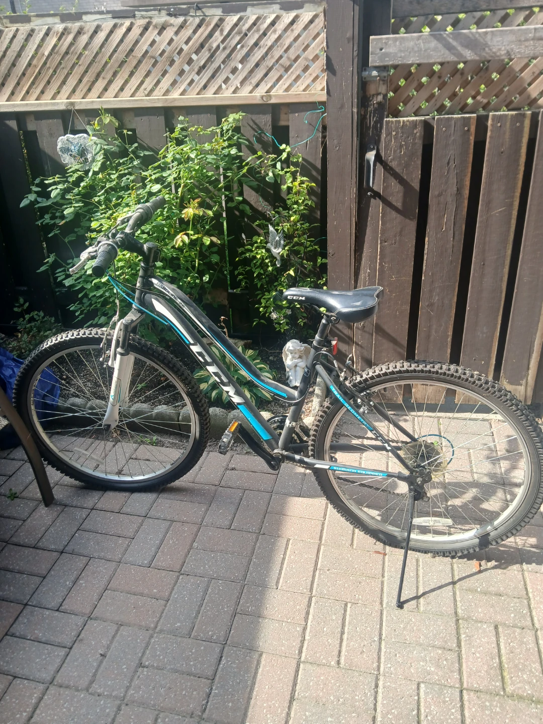 CCM Mountain Bike