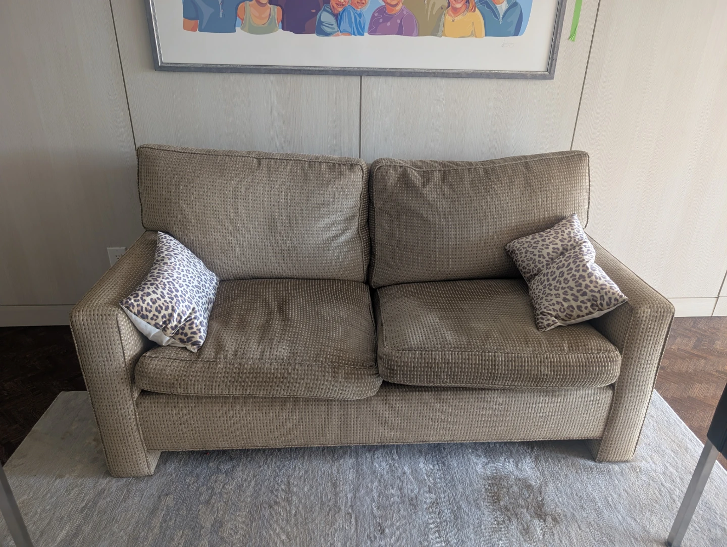 Two-seater couch with throw pillows - photo 2