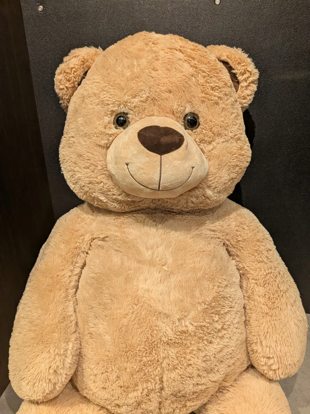 Giant Teddy Bear
