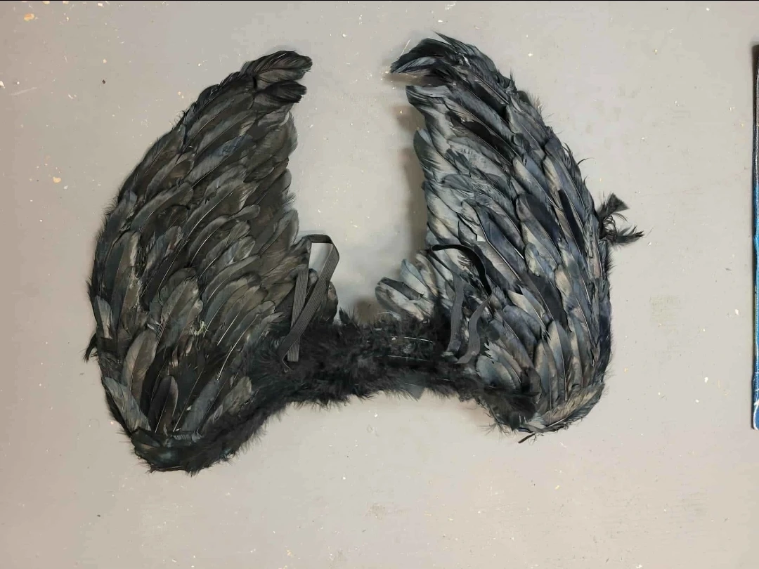Black Feather Wings Costume Accessory - photo 3